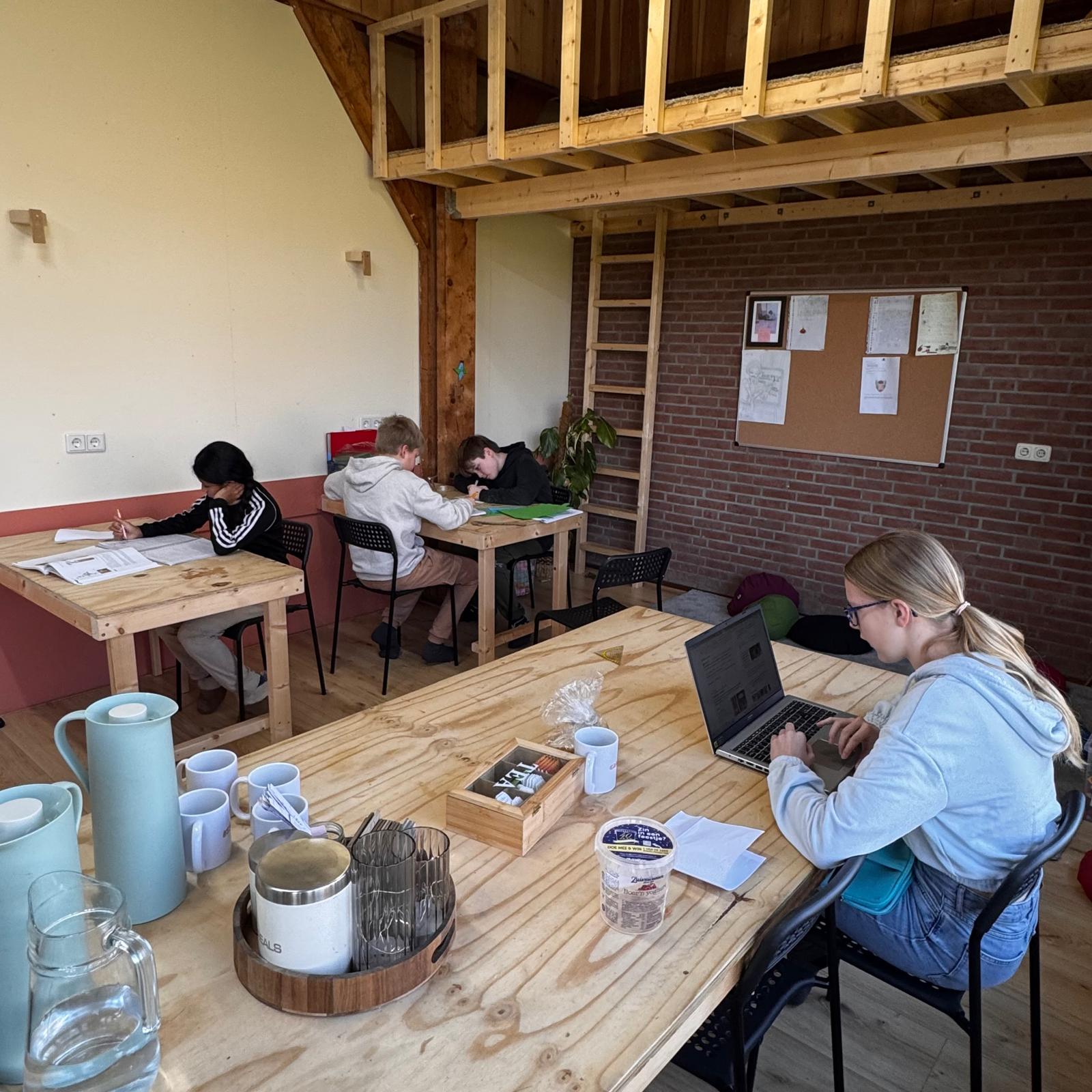 Smaragd - leren